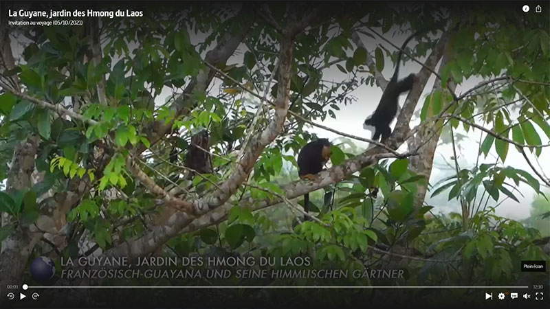 Vidéo de la guyane Hmong