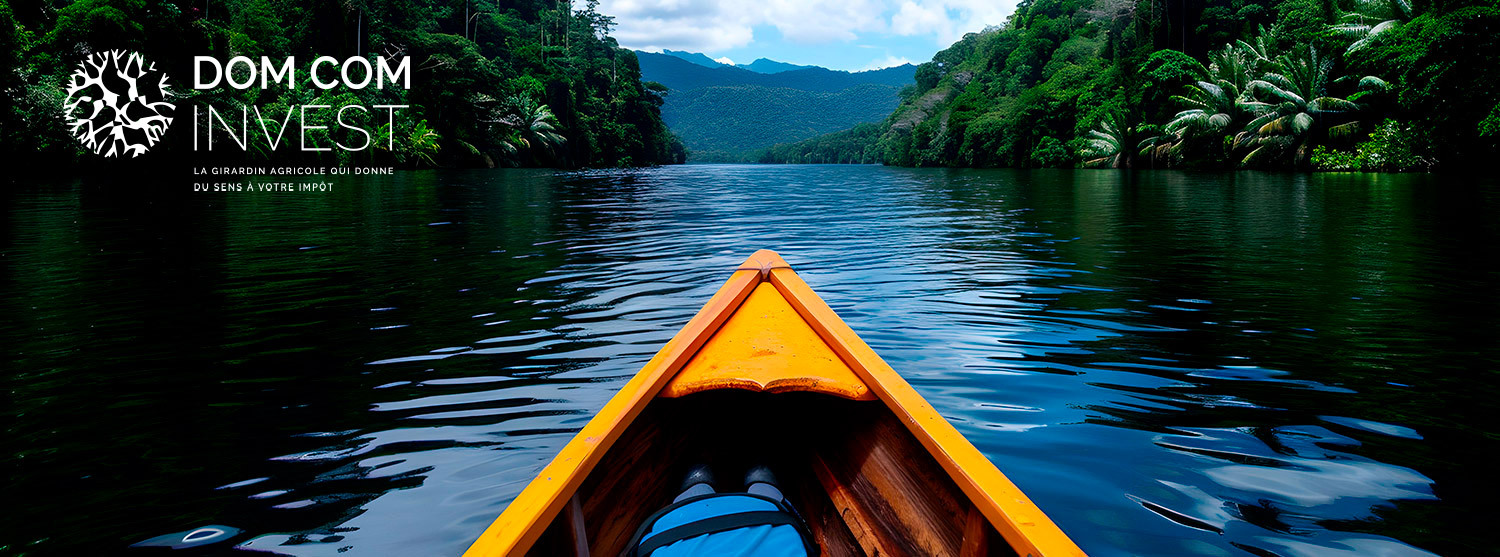 Embarcation sur une rivière tropicale illustrant l’investissement Girardin DOM-COM