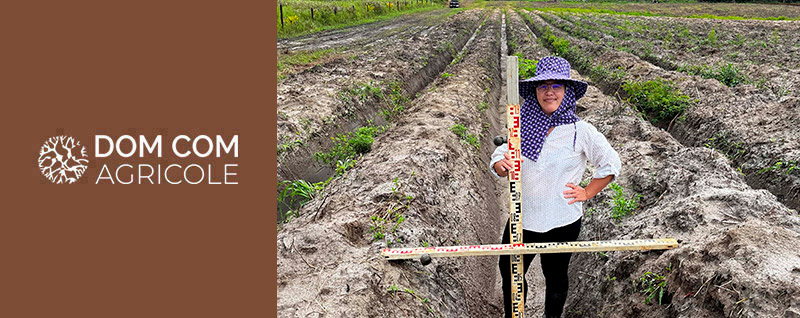 Financement Girardin Agricole de Mme VU May Si