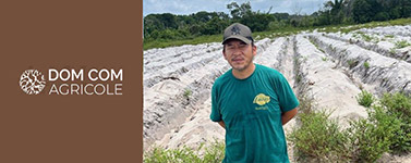 Financement Girardin Agricole de M. YANG MICHEL