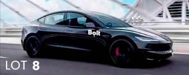 Financement structuré d'une flotte de véhicules électriques - Lot 8 Financement structuré d'une flotte de véhicules électriques - Lot 8